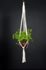 Hand Crafted Macrame Plant Hanger in Natural by Hanga